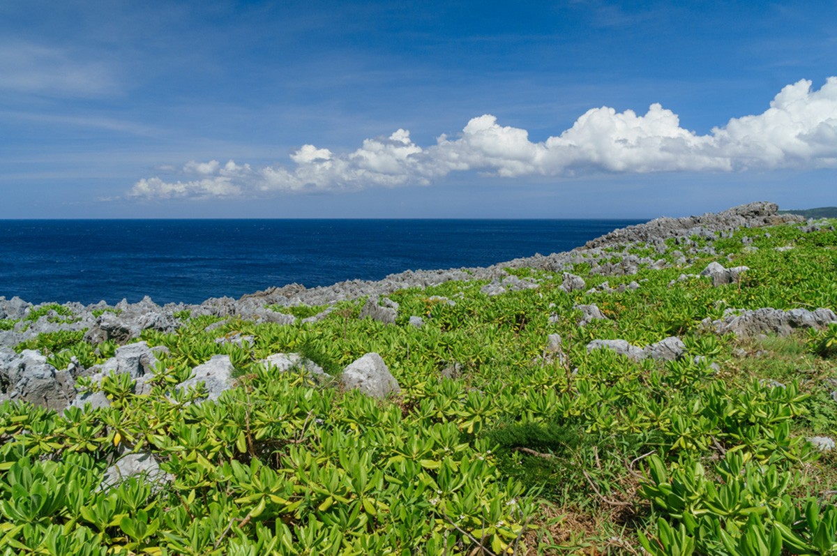 邊戶岬：沖繩本島最北端的絕景海角